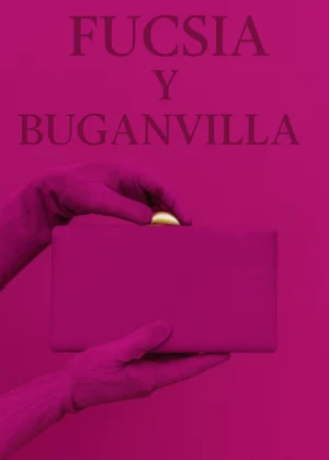 Buganvilla - fucsias