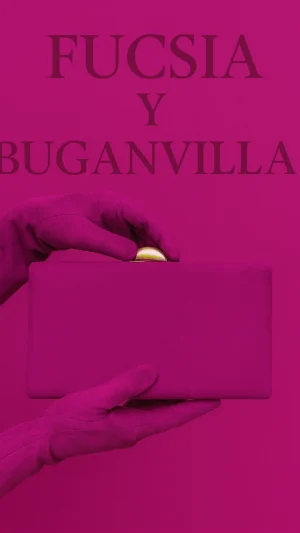 Buganvilla - fucsias